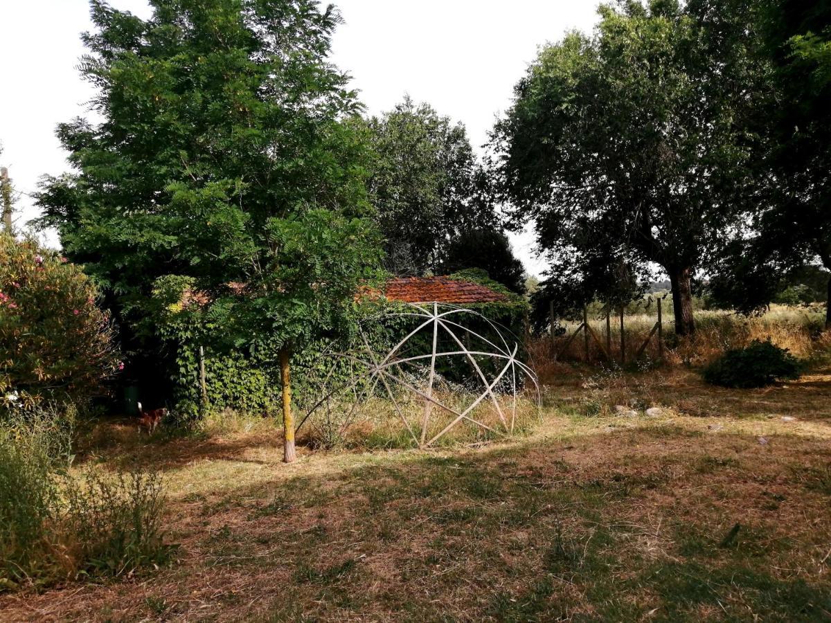 Da Pino Montemerano Exterior foto
