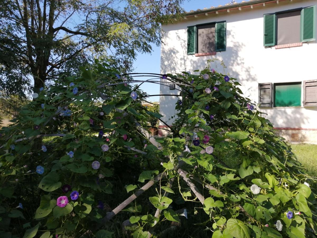 Da Pino Montemerano Exterior foto